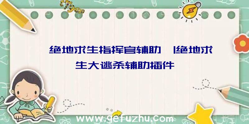 「绝地求生指挥官辅助」|绝地求生大逃杀辅助插件